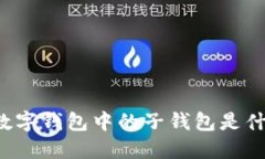 ### 数字钱包中的子钱包是