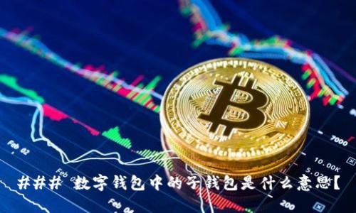 ### 数字钱包中的子钱包是什么意思？