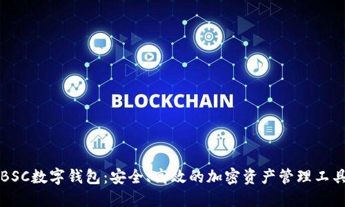 BSC数字钱包：安全、高效的加密资产管理工具