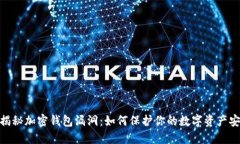 : 揭秘加密钱包漏洞：如何