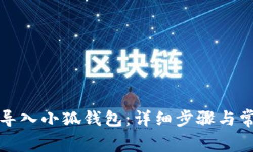 如何将资金导入小狐钱包：详细步骤与常见问题解答