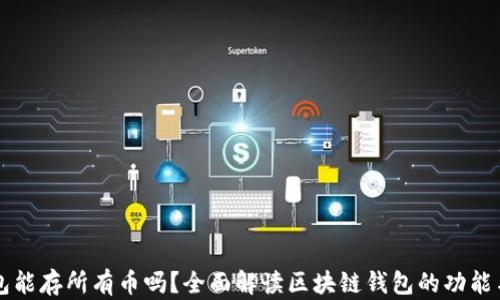 
区块链钱包能存所有币吗？全面解读区块链钱包的功能与选择指南
