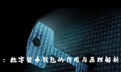 : 数字货币钱包的作用与原理解析