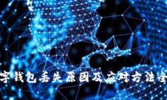 : 数字钱包丢失原因及应对