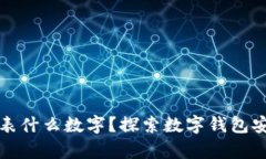 钱包有漏洞代表什么数字