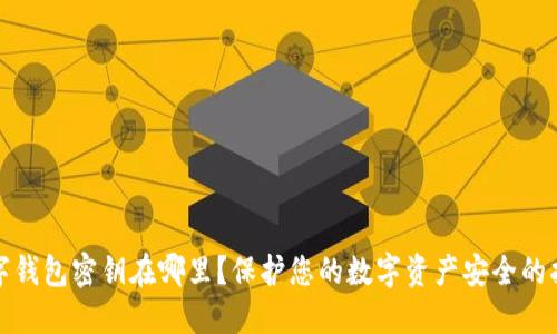 数字钱包密钥在哪里？保护您的数字资产安全的指南
