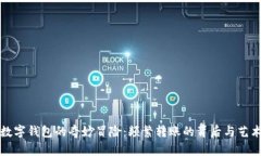 数字钱包的奇妙冒险：频