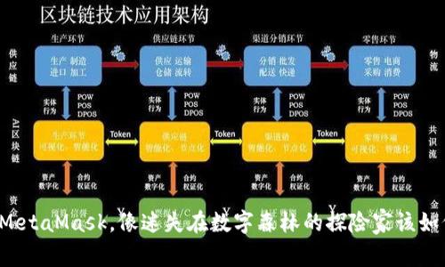 丢了密码的MetaMask，像迷失在数字森林的探险家该如何找回归路？