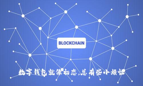 数字钱包就像初恋，总有些小烦恼