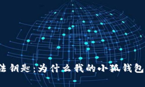 小狐钱包的魔法钥匙：为什么我的小狐钱包总是签名不了？