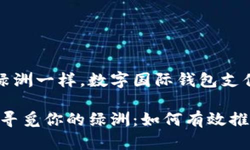 就像撒哈拉沙漠中的绿洲一样，数字国际钱包支付的未来让人心旷神怡

在数字支付的沙漠中，寻觅你的绿洲：如何有效推广数字国际钱包