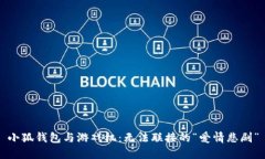 小狐钱包与游戏机：无法