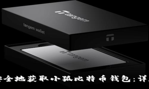 :
如何安全地获取小狐比特币钱包：详尽指南