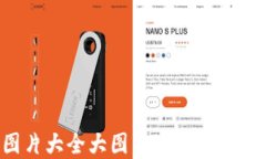 狐狸数字钱包图片大全大