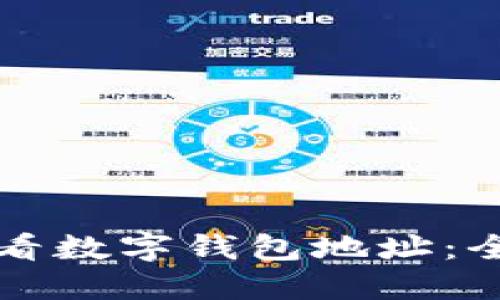 如何查看数字钱包地址：全面指南