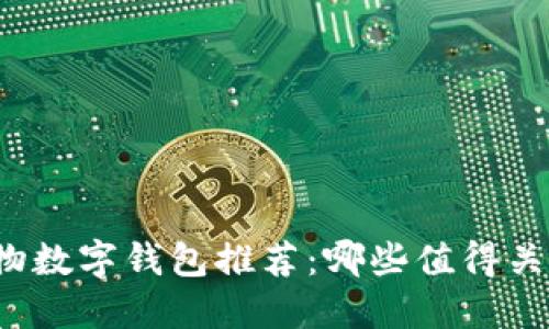 实物数字钱包推荐：哪些值得关注？