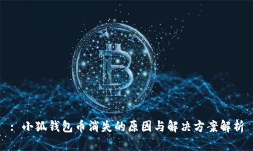 : 小狐钱包币消失的原因与解决方案解析