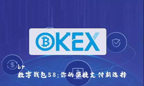 br
数字钱包58：你的便捷支付新选择