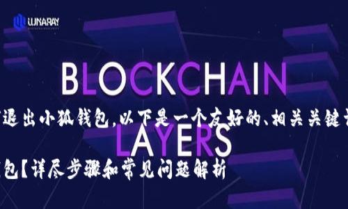 为了帮助您理解如何退出小狐钱包，以下是一个友好的、相关关键词和详细的内容结构。

如何安全退出小狐钱包？详尽步骤和常见问题解析