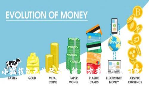 : 小狐钱包无法登录的解决方案与常见问题解析