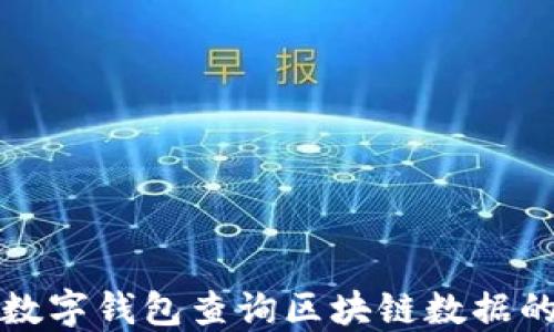 
如何利用数字钱包查询区块链数据的全面指南