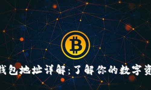 MetaMask钱包地址详解：了解你的数字资产管理工具