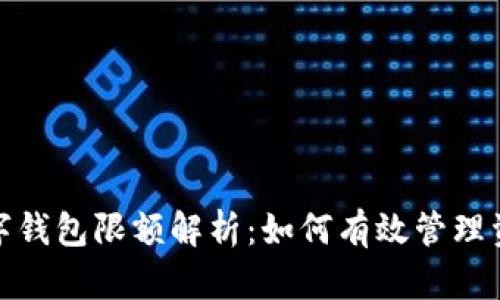 企业数字钱包限额解析：如何有效管理资金流动