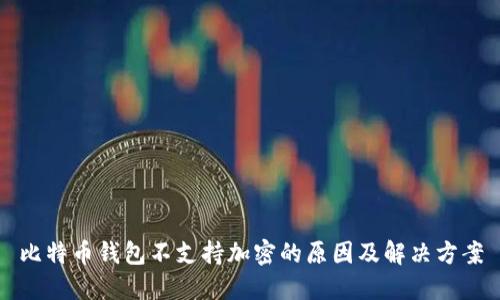 比特币钱包不支持加密的原因及解决方案