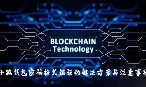 小狐钱包密码格式错误的解决方案与注意事项