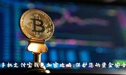 手机支付宝钱包加密攻略：保护您的资金安全