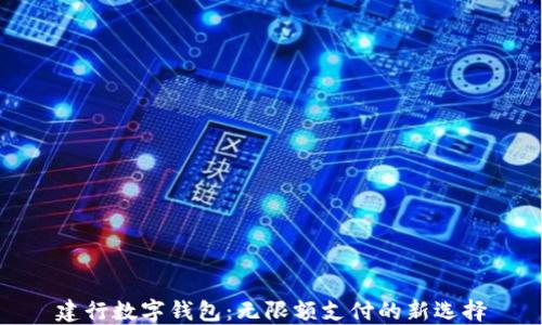 
建行数字钱包：无限额支付的新选择