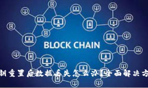 : 小狐钱包密钥重置后数据丢失怎么办？全面解决方案与预防措施