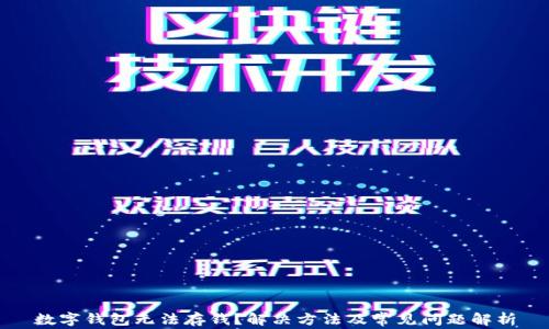 
数字钱包无法存钱？解决方法及常见问题解析