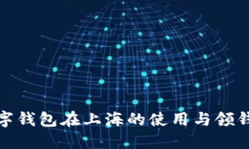 : 数字钱包在上海的使用与领钱指南